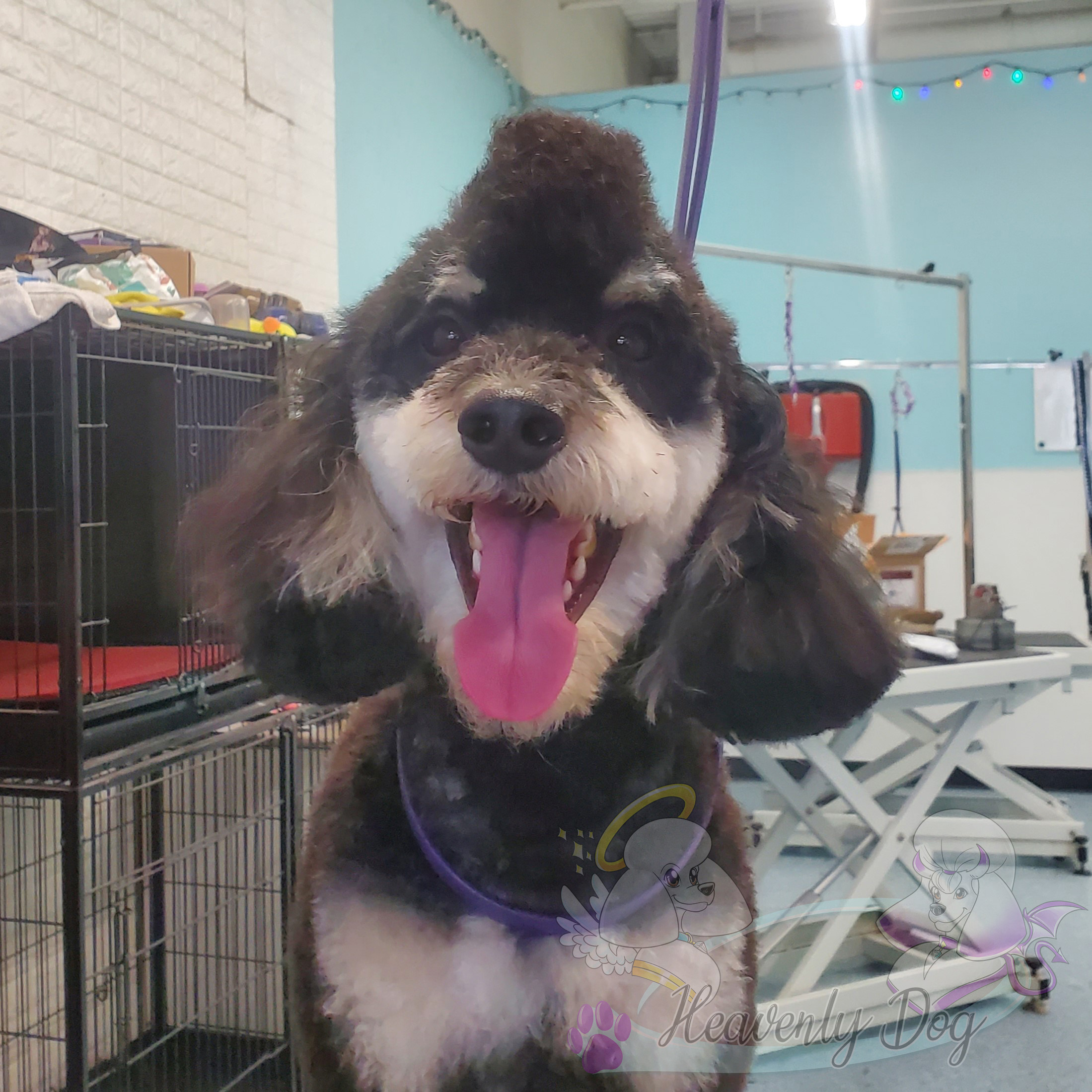 Charliemohawk